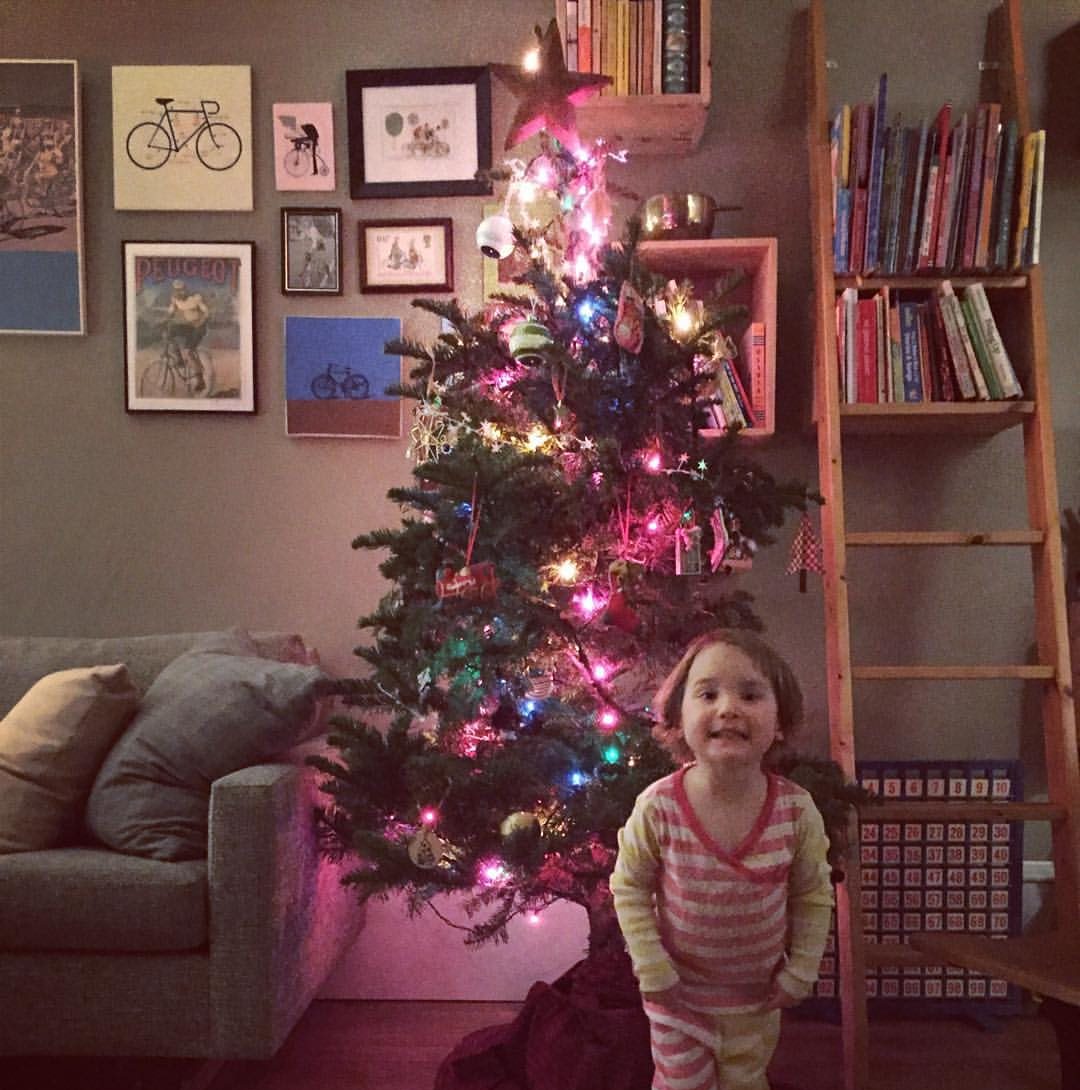 A Sappy Goodbye How to Recycle Your Christmas Tree in the Bay Area