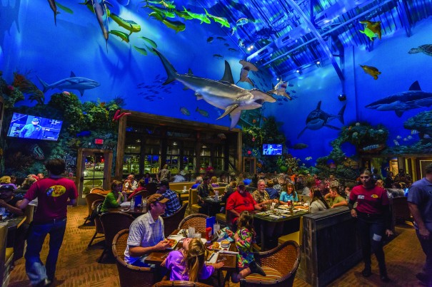 Bass Pro Shop: Kid Activities & Family Dining in the Bay Area