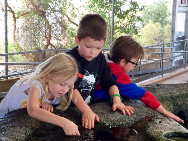 Hands On! Exploring Cool Critters at Living Coast Discovery Center