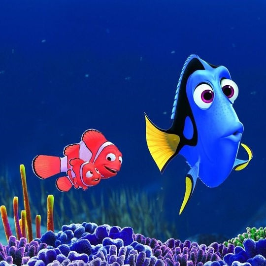 Finding-Dory-ccflickr-LaRealNoticia
