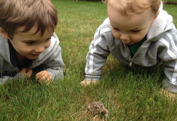 found frog boys flickr