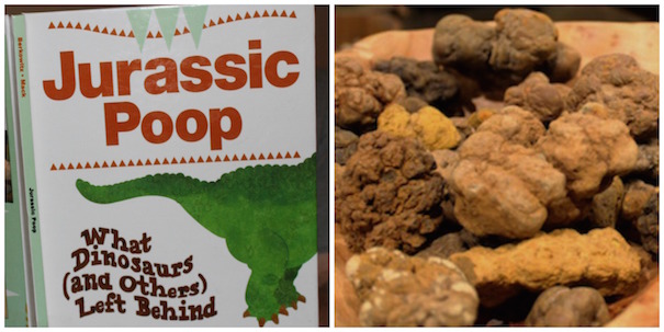 rockhound-book-jurassic-poop
