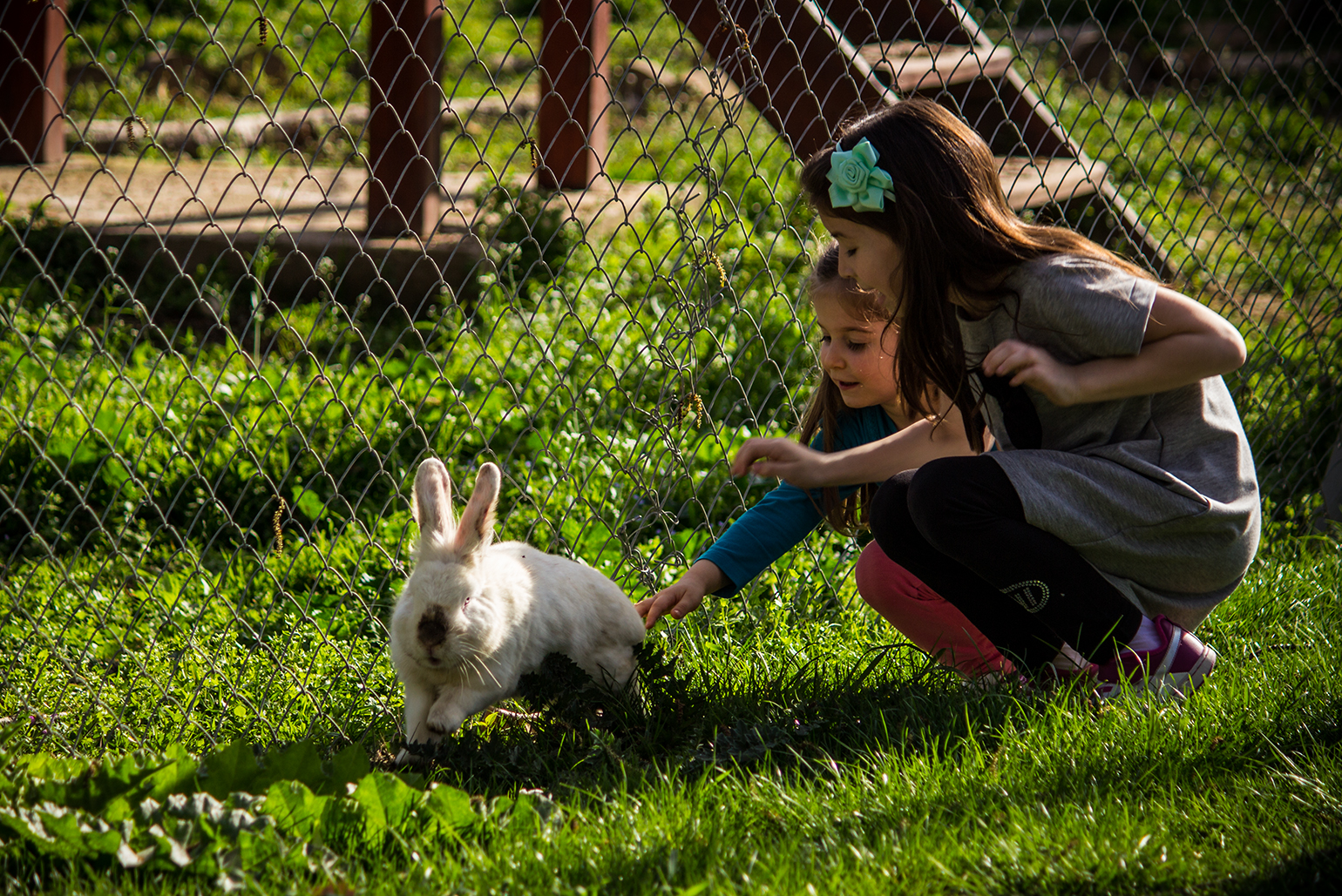 CRDT-kidseaster-28, outdoors, petting, bunnies