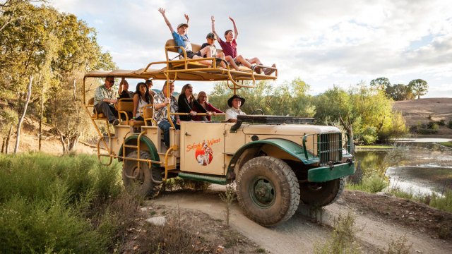 14 Awesome Safari Experiences That Aren’t the Zoo