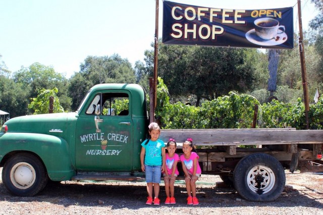 4 Places for Family Fun in Fallbrook