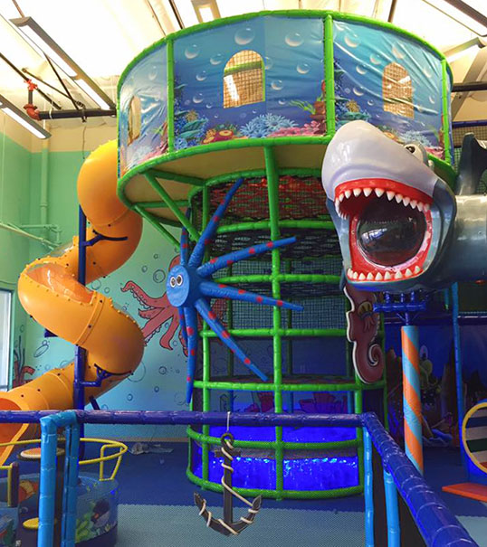 jumpity bumpity shark play structure