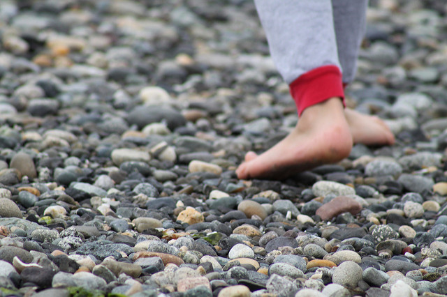 kid rock beach pet rock day