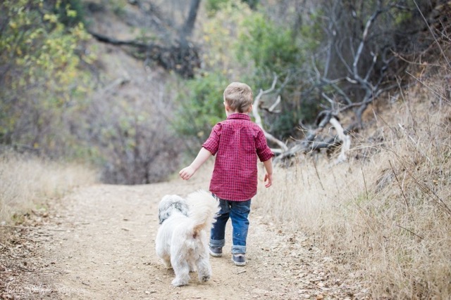 Flf3IYQ-hwwMWmuI12B4C8RzdF2luZsawqHbMMIm2rY