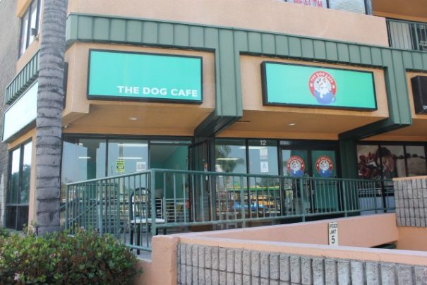 img_2634-e1461007735211