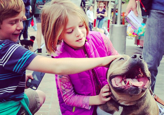 Screen Shot 2016-08-09 at 12.01.17 AM