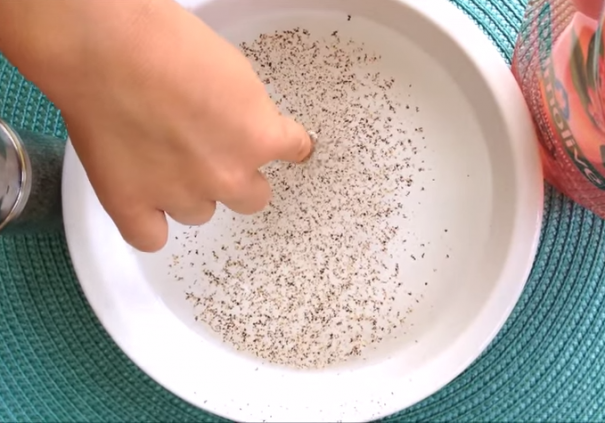 Gross Science Experiments For Kids