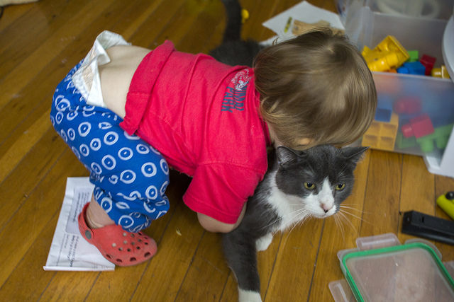 10074659836_43d4b362a4_z