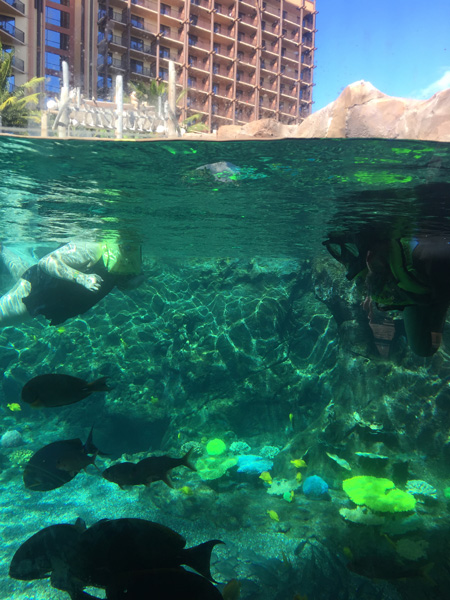 Reef at Aulani, a Disney Resort & Spa