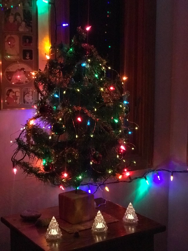 A Christmas Tree with a 53-Year-Old History