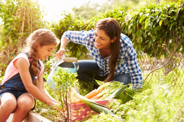 Grow Your Child’s Cognitive Skills through Gardening
