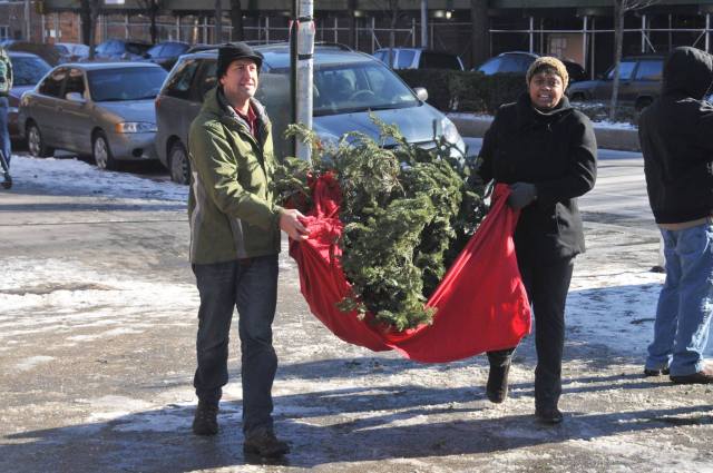 The Big Mulch: How to Recycle Your Christmas Tree in NYC