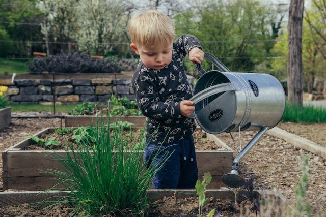 5 Life Lessons I Learned From Gardening