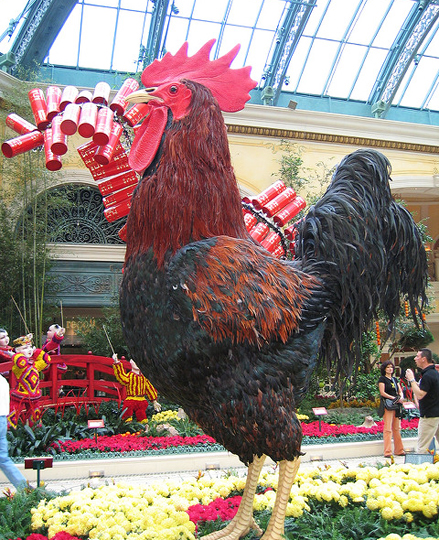 year_of_rooster_cc_amandab3_via_cc