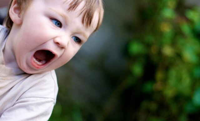 10 Things Only Parents of Toddlers Will Understand