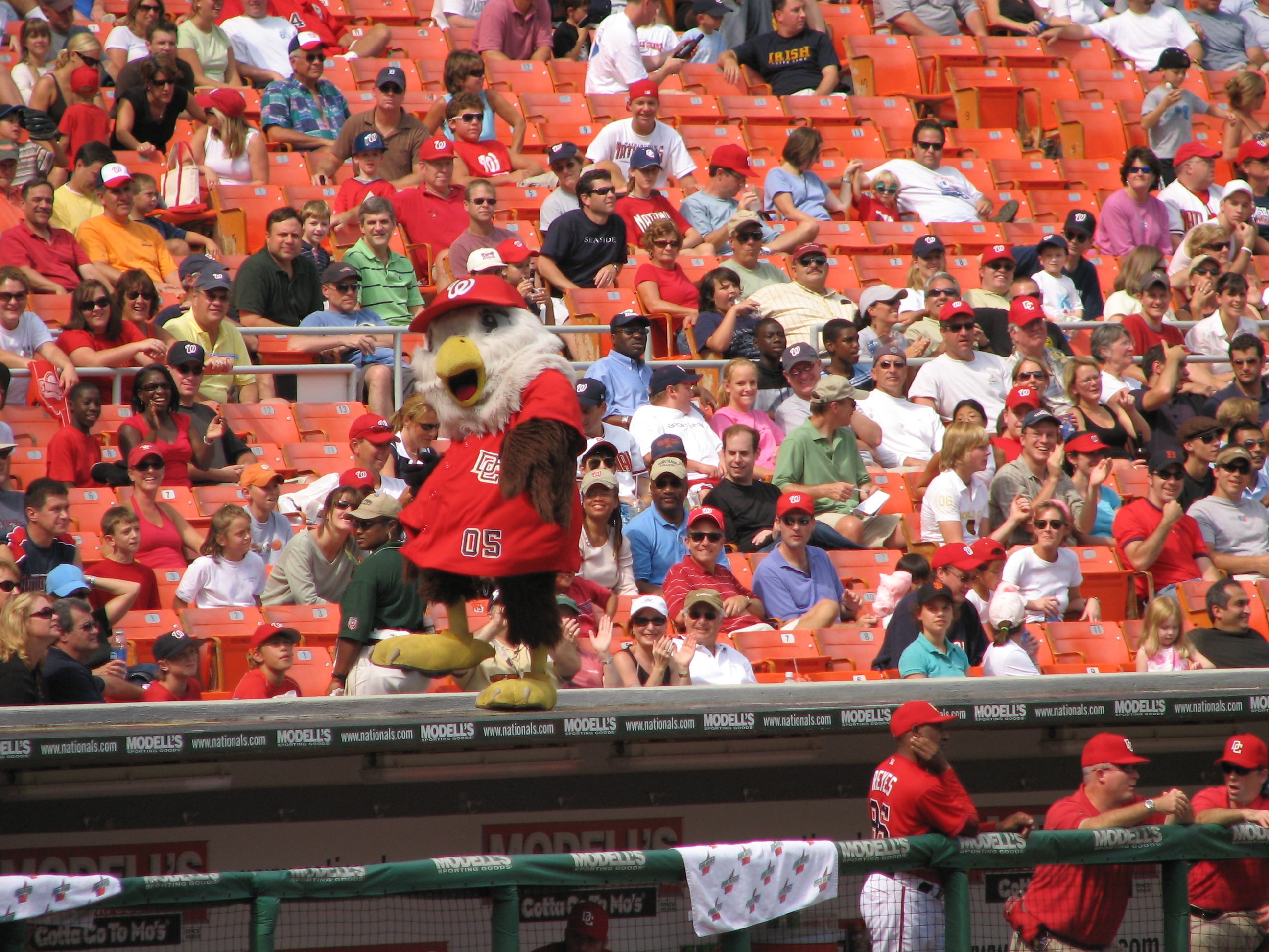 Caturday at Nats Park, Nationals Park, Washington, July 6 2019