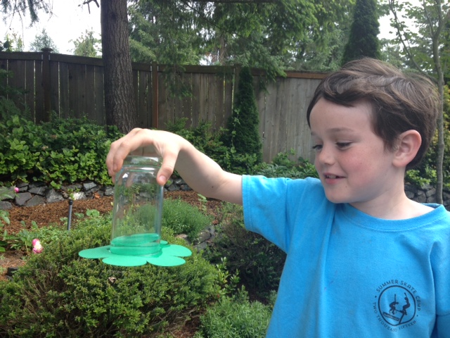 little boy doing science in the backyard