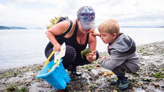A mom and son tidepool at one of the best south sound beaches