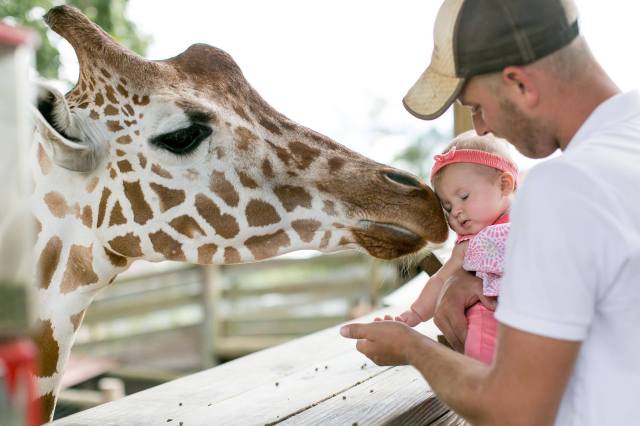 How to Do the Metro Richmond Zoo with Kids (in Just Two Hours)