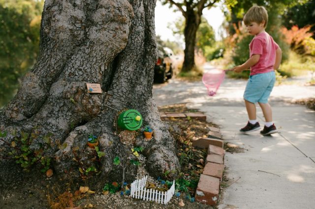 Secret Fairy Houses Discovered All Over the Bay Area