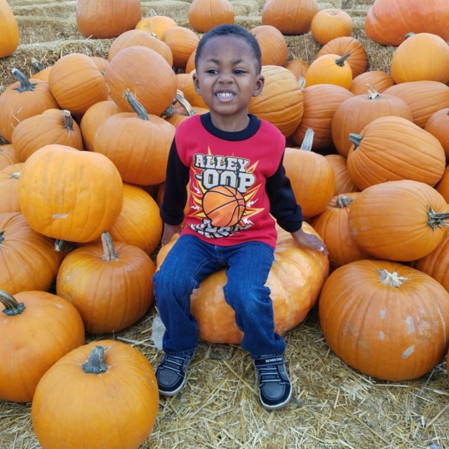 The best pumpking patches in Los Angeles
