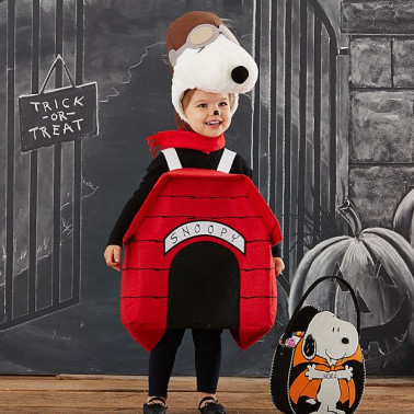 Pottery Barn Kids on sale Peanuts Woodstock Costume