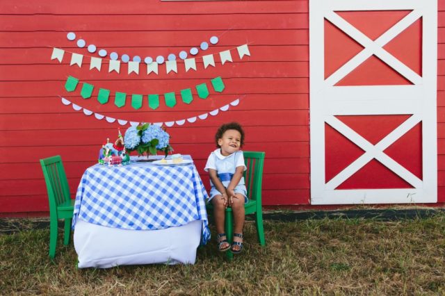 A farm-themed party is a great fall birthday party idea