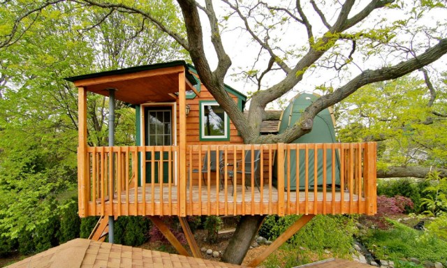 The Best Treehouse Rentals for Families in the U.S.