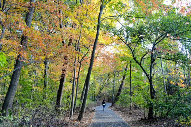 Cunningham Park Bike Trail Map Family Activities | Nyc Bike Trails