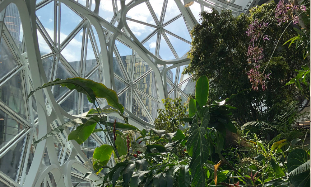 Amazon Spheres Your Guide To How To Get Inside And What To See