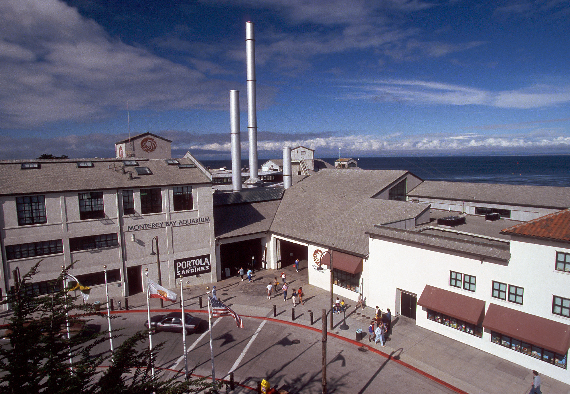 Insider's Guide to the Monterey Bay Aquarium
