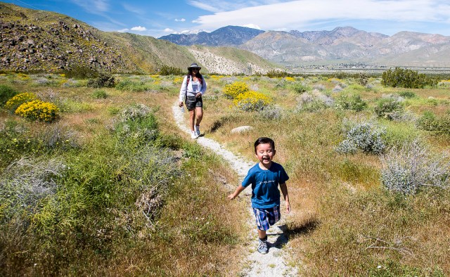 35 Amazing Hikes Every Kid Should Take at Least Once