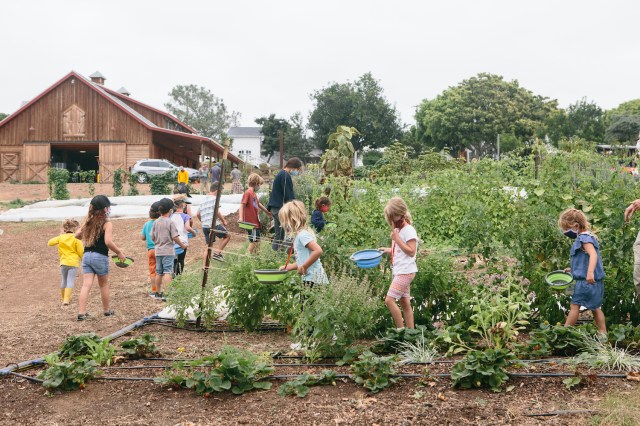 Cream of the Crop! 7 Family-Friendly Farms You Must Visit