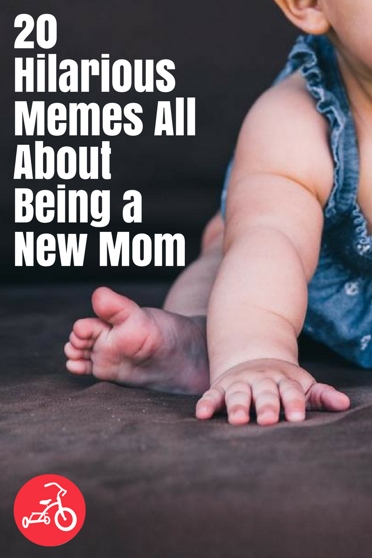 20 Hilarious Memes All About Being a New Mom