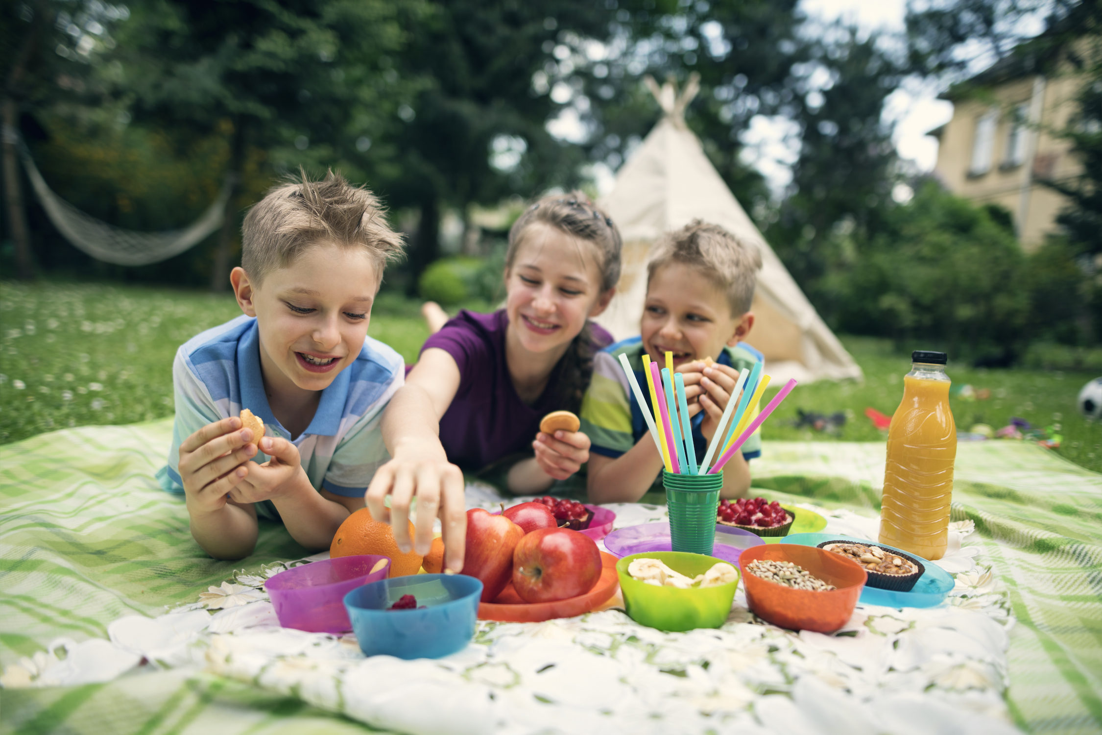 Где можно устроить пикник. Пикник на природе. Детский пикник на природе. Пикник на свежем воздухе для детей. Пикник летом детям.