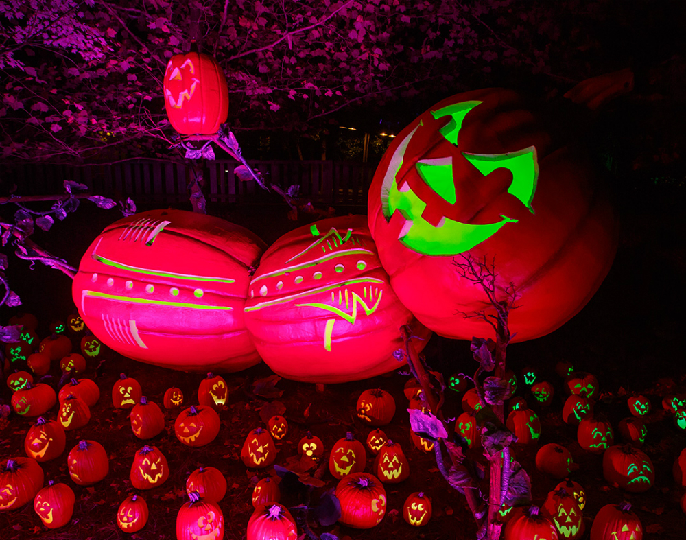 15 Amusement Parks That Celebrate Halloween