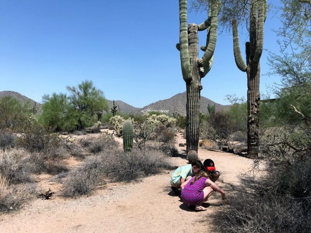 Hit the Trail: These 10 Phoenix Hikes Are Kid Favorites