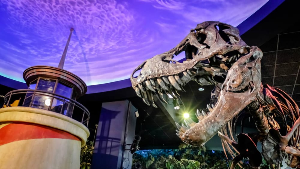 Best Children's Libraries in the USA