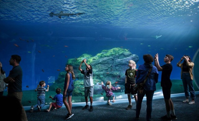 point defiance zoo and aquarium, seattle indoor playspaces