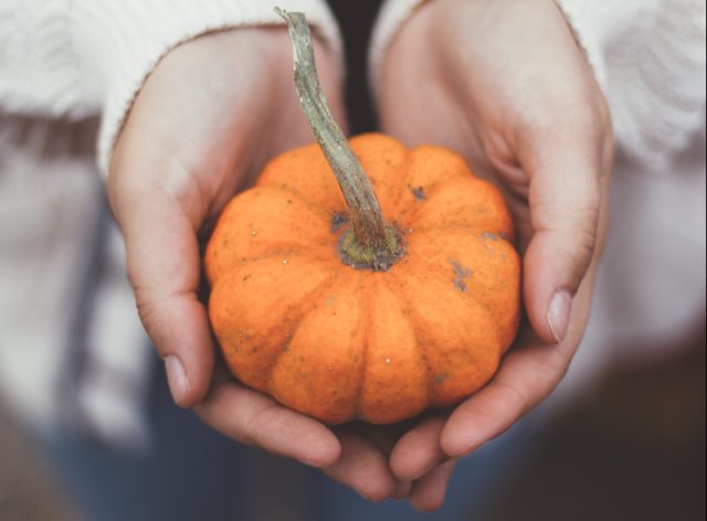 Pumpkin Spice & Everything Nice: New Data Reveals Nation’s Seasonal Preferences