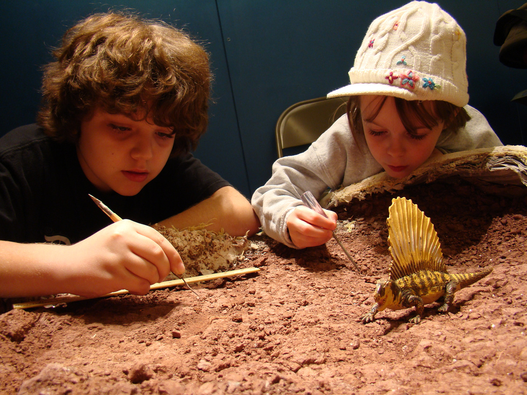 Where to Find Fossils in Washington DC