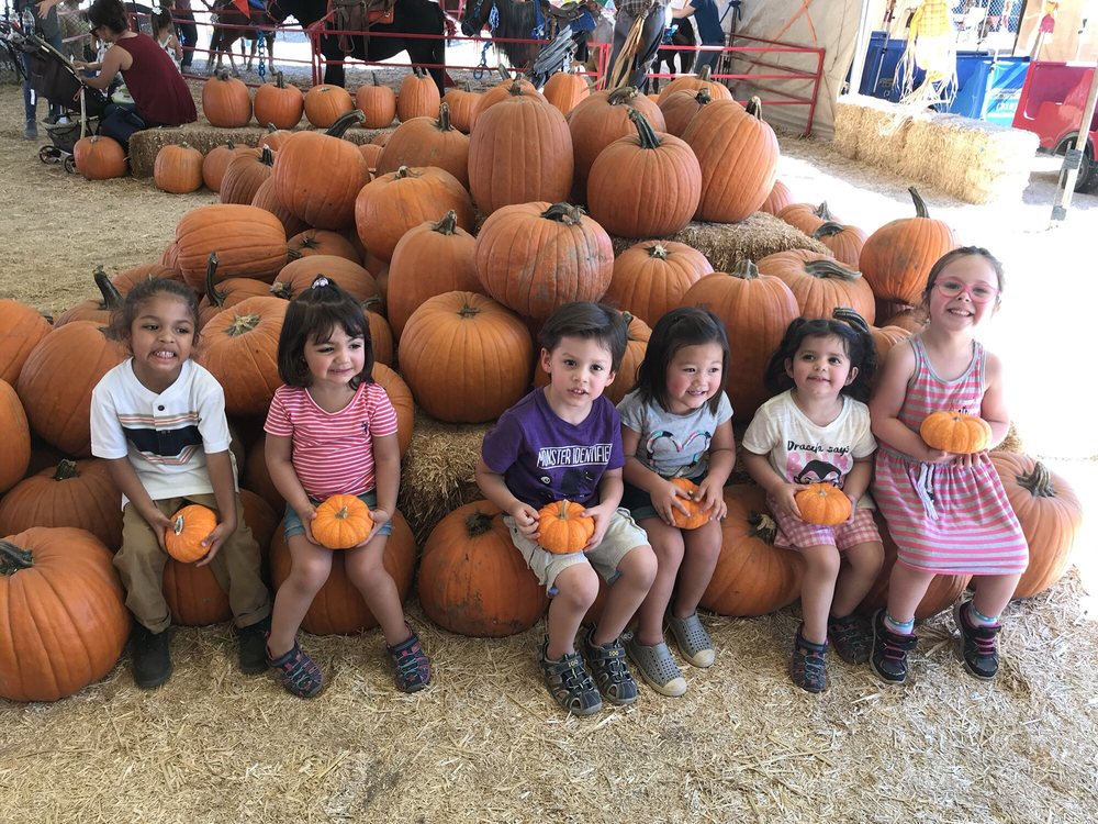 Pumpkin Patches Las Vegas, NV October 2021