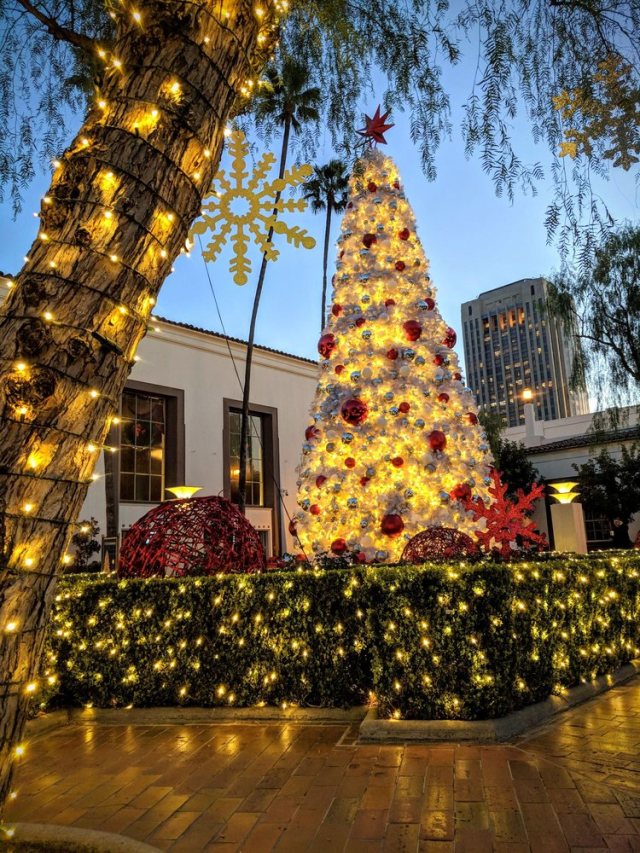 Santa Monica Christmas Tree Lighting 2022 Christmas Tree Lighting Events In Los Angeles, Ca | 2019