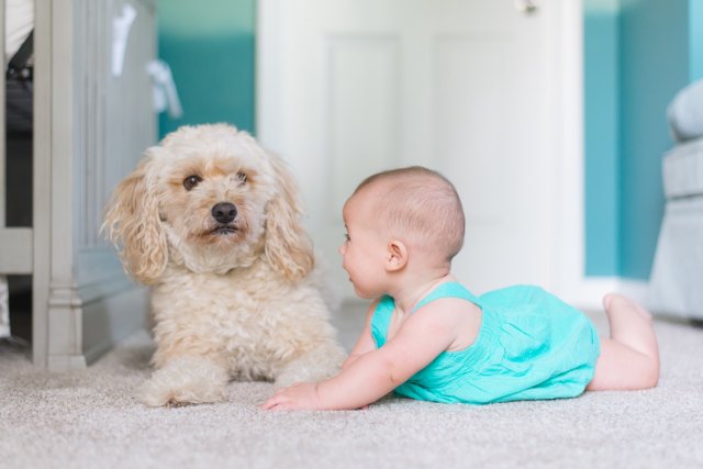 Here’s the Science Behind Why Kids Totally Need a Pet