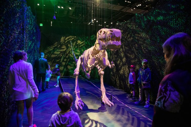 The California Science Center Has a New Exhibit You Don’t Want to Miss