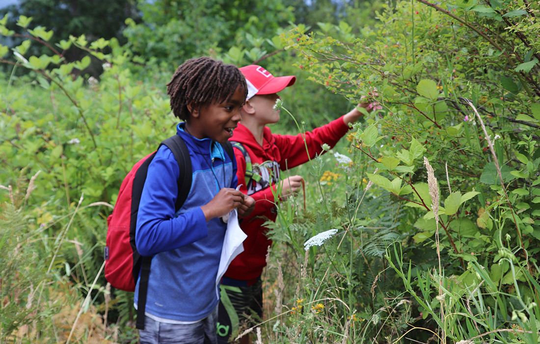 Portland’s Best Summer Camps for Kids Tinybeans